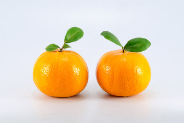 Orange fruit isolated on white