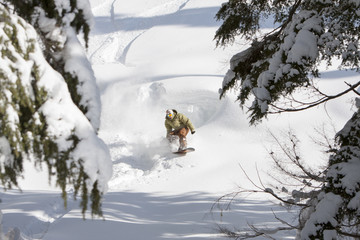 Snowboarder Sunny Day Powder Snow