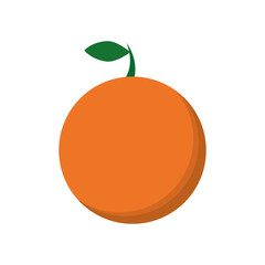 orange citrus fruit isolated icon vector illustration design