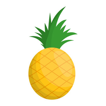 pineapple fresh fruit isolated icon vector illustration design