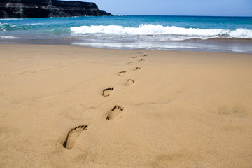 footprints on the beach, disappearing into the sea