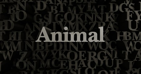 Animal - 3D rendered metallic typeset headline illustration.  Can be used for an online banner ad or a print postcard.
