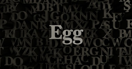 Egg - 3D rendered metallic typeset headline illustration.  Can be used for an online banner ad or a print postcard.