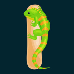 iguana letter with animal for kids abc education in preschool.