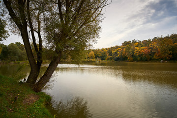 Colorful autumn lake