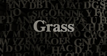 Grass - 3D rendered metallic typeset headline illustration.  Can be used for an online banner ad or a print postcard.