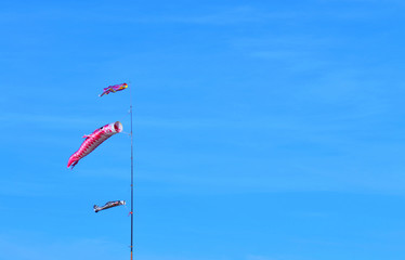  Koinobori, Carp streamer, Japan.
