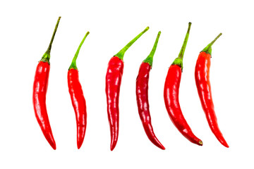Red chilli pepper isolated on white background, Clipping path included.