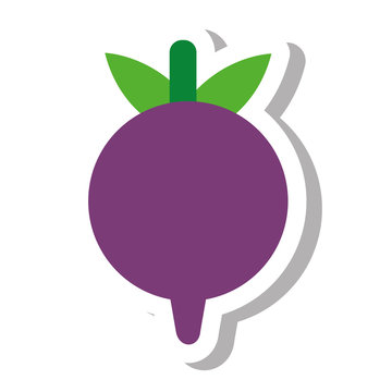 beet vegetable healthy icon vector illustration design