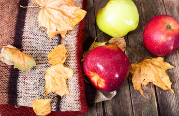 Composition from a warm scarf, apples and autumn leaves