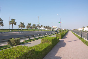 Obraz premium date palm alley along the highway, Dubai