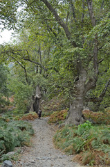 Greece, Samothrace Island