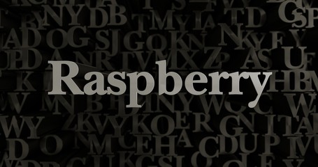Fototapeta na wymiar Raspberry - 3D rendered metallic typeset headline illustration. Can be used for an online banner ad or a print postcard.
