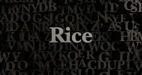 Rice - 3D rendered metallic typeset headline illustration.  Can be used for an online banner ad or a print postcard.