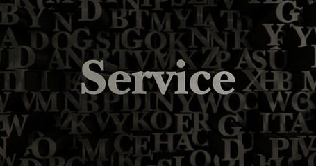Service - 3D rendered metallic typeset headline illustration.  Can be used for an online banner ad or a print postcard.