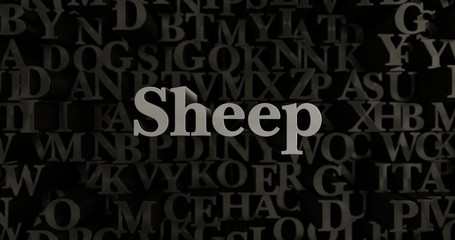 Sheep - 3D rendered metallic typeset headline illustration.  Can be used for an online banner ad or a print postcard.