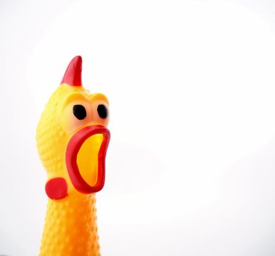 Yellow shrilling chicken with red lips on white background