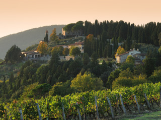 Naklejka premium Wineyards at sunset in tuscany region, italy.