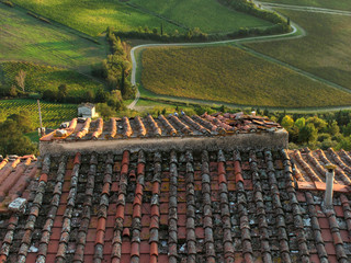 Wineyards at sunset in tuscany region, italy.