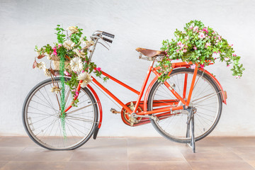 Fototapeta na wymiar Vintage red bicycle with flower baskets parking against cement w