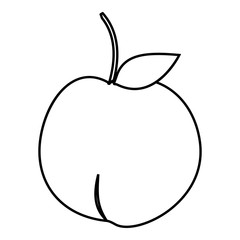 Apple icon. Outline illustration of apple vector icon for web