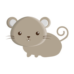 cute mouse isolated icon vector illustration design
