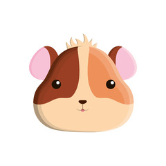 cute hamster isolated icon vector illustration design