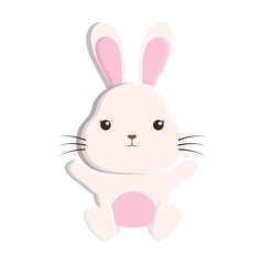 cute rabbit isolated icon vector illustration design