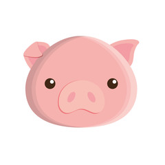 cute pig isolated icon vector illustration design