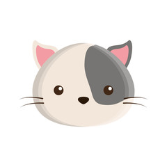 cute cat mascot isolated icon vector illustration design
