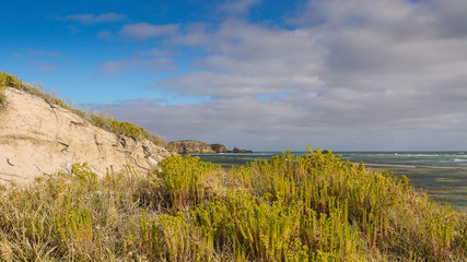 Strand bei Port MacDonnell in South Australia, Australien