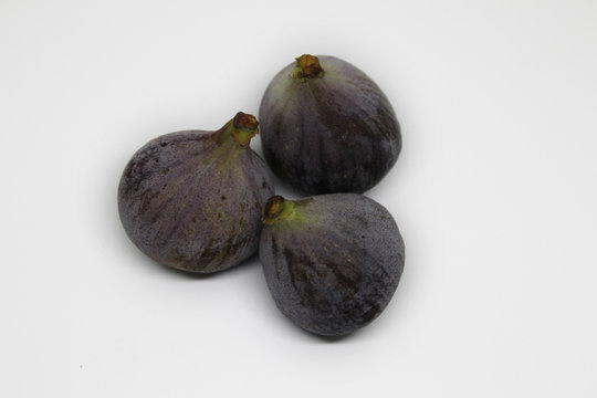 Higo o breva, Ficus carica