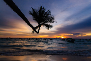 Beautiful sunset by the beach. Silhoette of coconut tree at Tao Island, Thailand. Romantic vacation getaway.