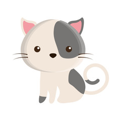cute cat mascot isolated icon vector illustration design