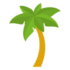 palm tropical tree isolated icon vector illustration design