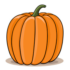 Pumpkin. Doodle