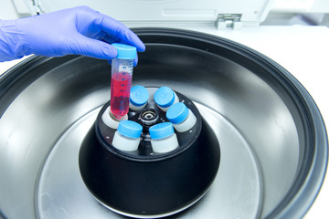 Researcher down the mammalian cell by centrifuge