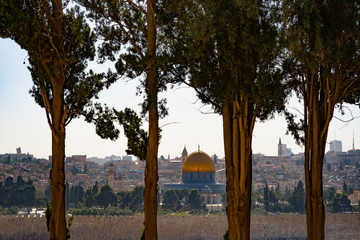 View of Jerusalem through the trees