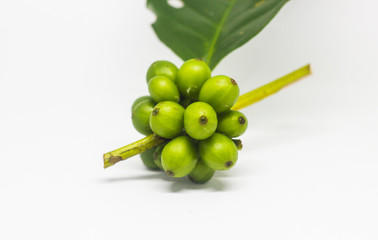 colourful of coffee beans