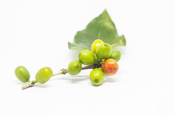 colourful of coffee beans