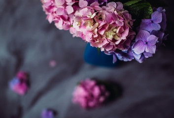 Fototapeta premium Look from above at glorious hydrangeas standing in the high vase