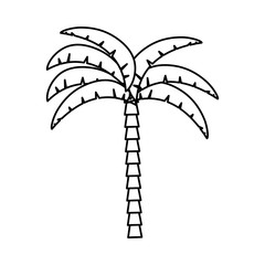palm tropical tree isolated icon vector illustration design