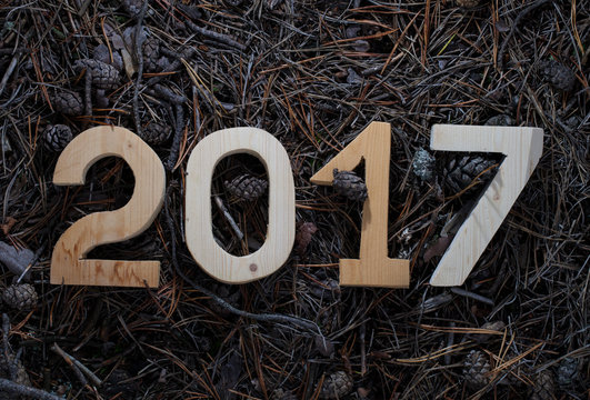 Figures 2017 on the brown pine needles in a forest. Christmas th
