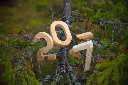 Figures 2017 on the fir branch in the forest. Christmas theme. T