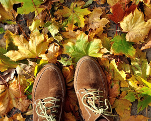 Female foots in shoes among autumn leafs. Женские ноги в замшевых ботинках на земле, покрытой опавшими кленовыми листьями.
