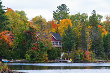 Cottage between colorful trees