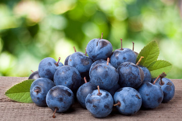 heap of blackthorn berries with leaves on a wooden table  blurred garden background