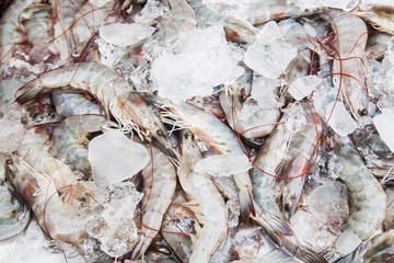 Fresh shrimps at seafood market,East of Thailand