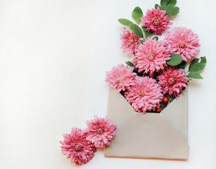 Bouquet of pink carnations in the envelope on a white background. Greeting card. Top view close-up.