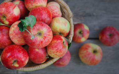 Fototapeta na wymiar Basket with apples harvest in garden, top view